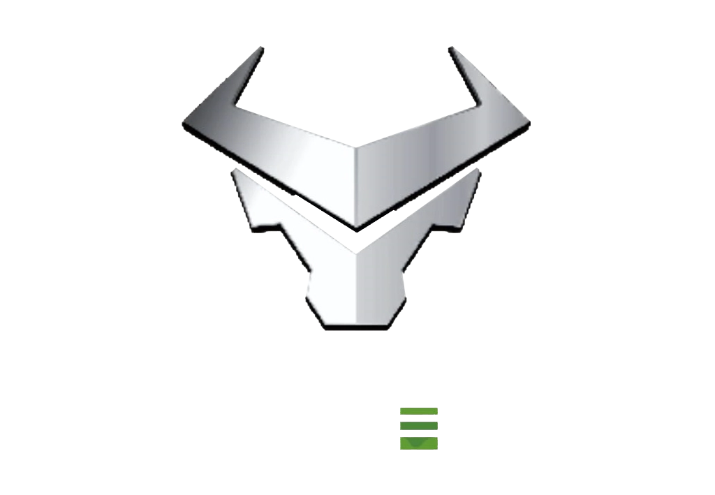 Matador Lectro