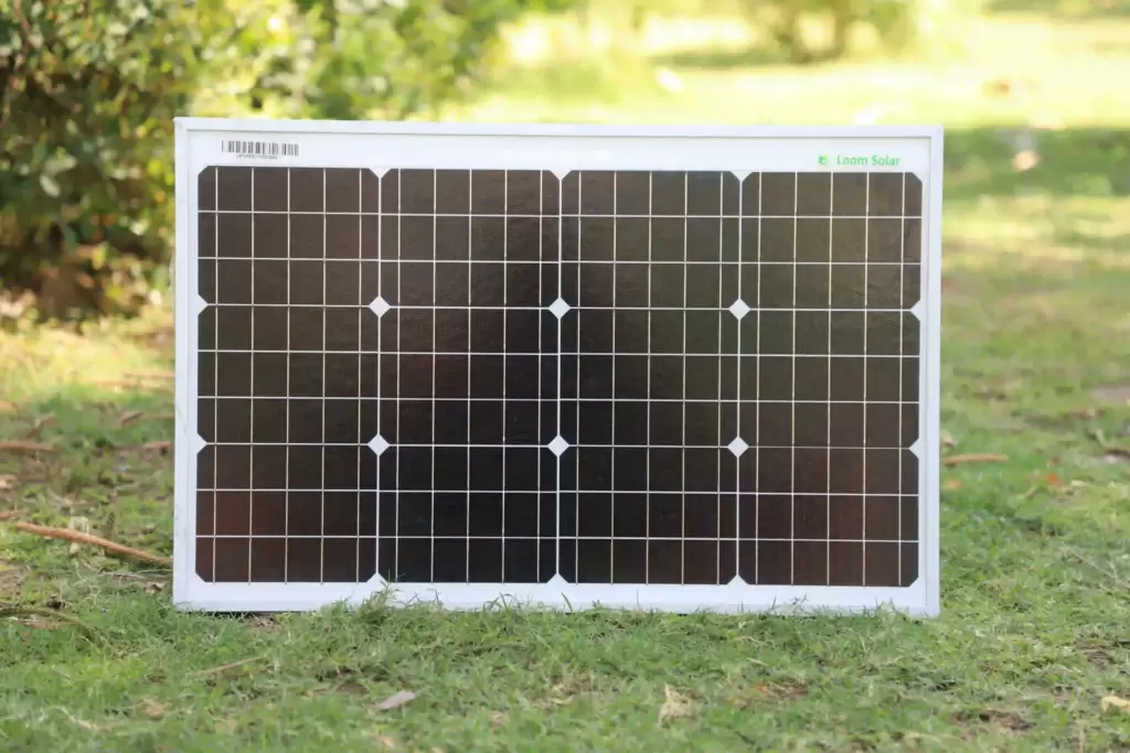 panel surya 100 WP