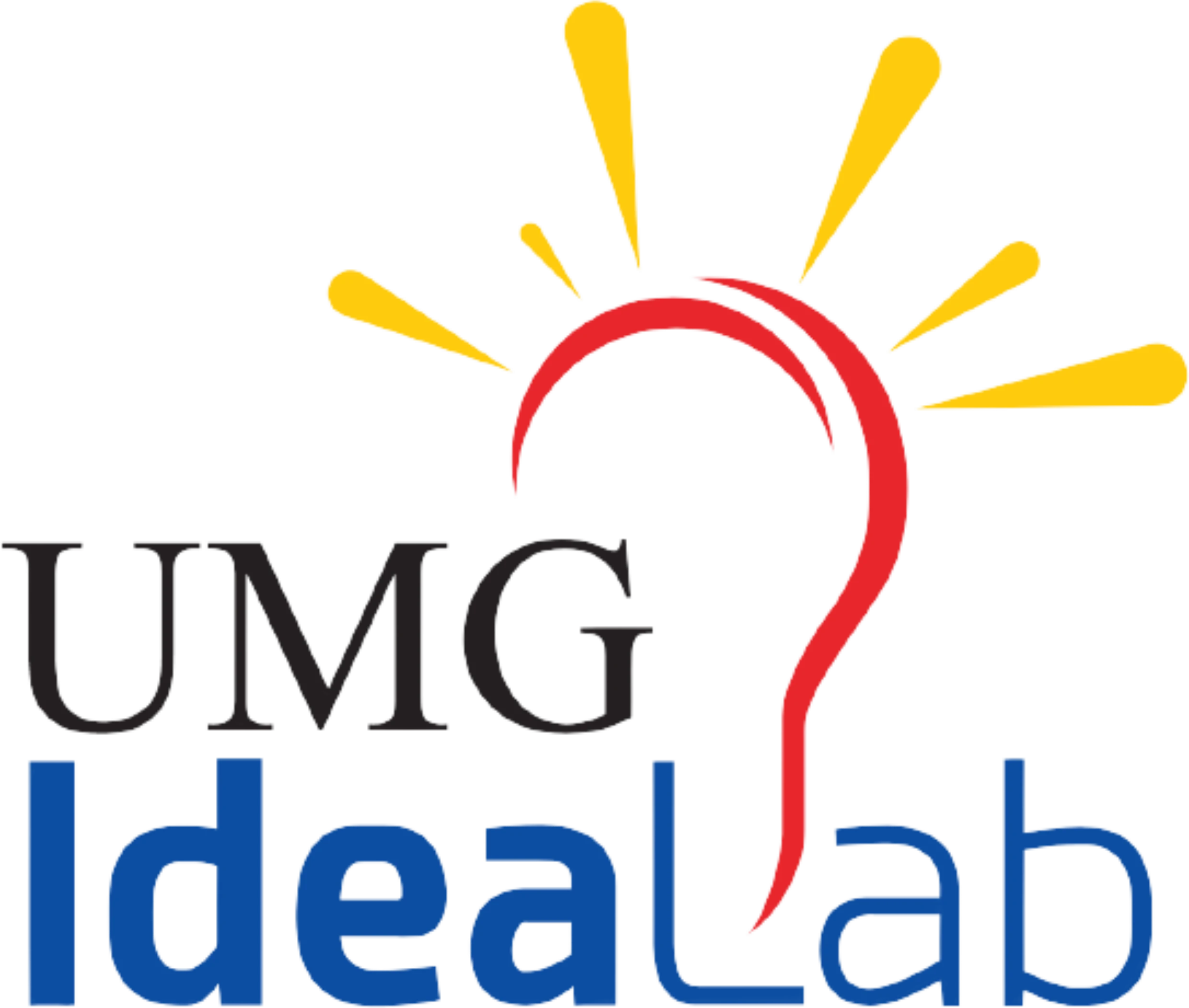 UMG Idealab Indonesia_result